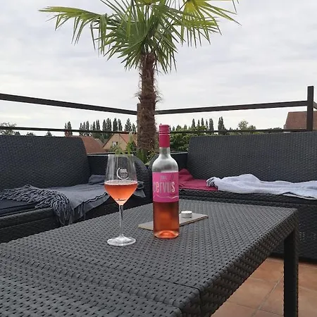 Roze Vendeghaz * Villany