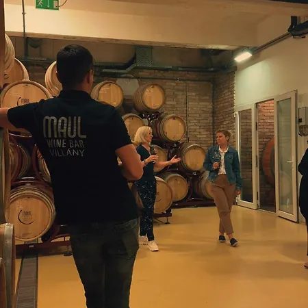 Roze Vendeghaz Πανσιόν 3*