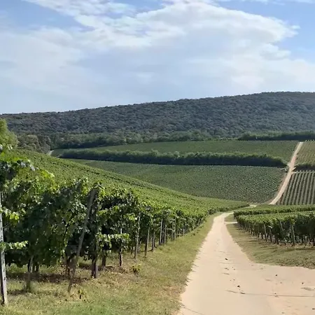 Roze Vendeghaz 3* Villány