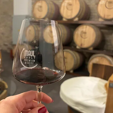 Roze Vendeghaz Πανσιόν 3*