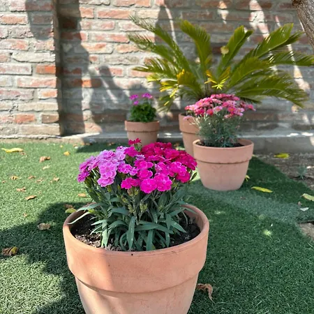 Roze Vendeghaz Πανσιόν Villány