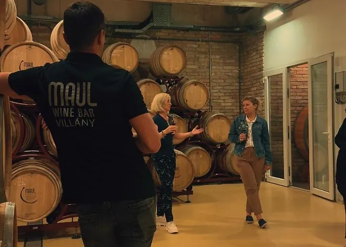 Roze Vendeghaz Pensiune 3*