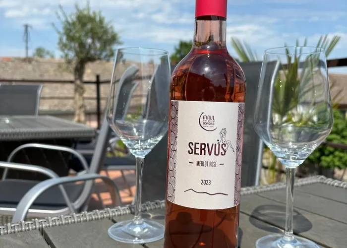 Pensiune Roze Vendeghaz Villány