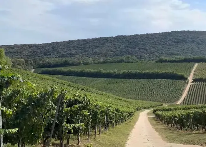 Roze Vendeghaz 3* Villány