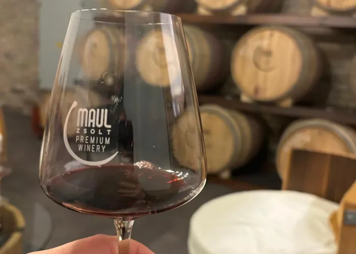 Roze Vendeghaz Pensiune 3*