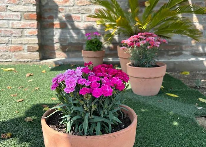 Roze Vendeghaz Pensiune Villány