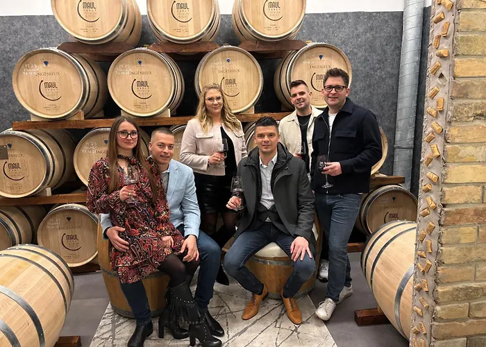 Roze Vendeghaz Pensiune 3*